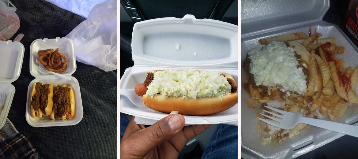 Chow Dog Gallery Image 6